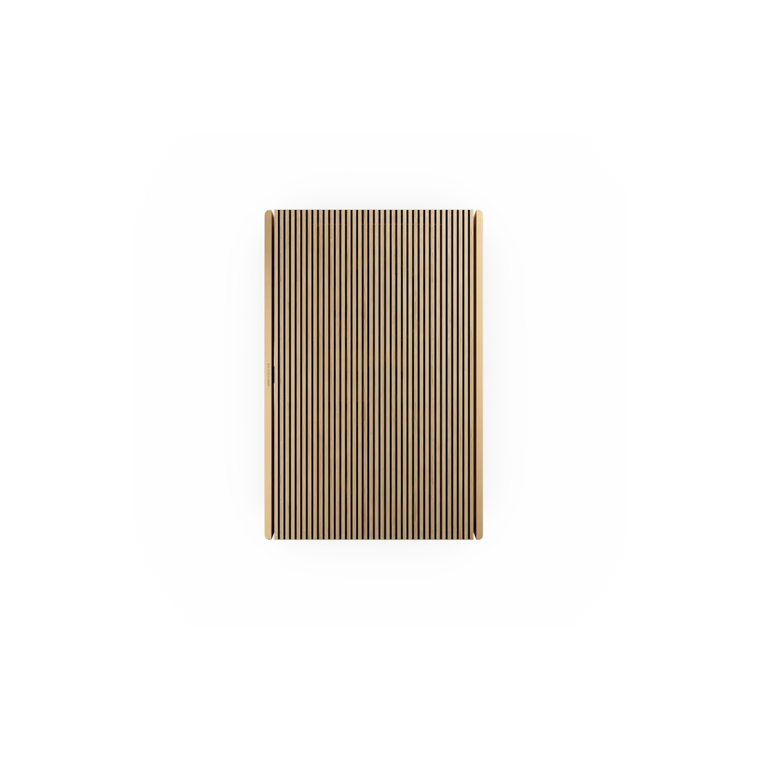 Bang & Olufsen Beosound Level Portable Network Speaker
