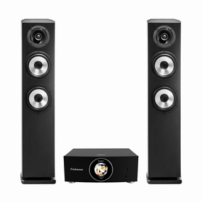 Cabasse ABYSS Wireless Amplifier   Jersey MC170 Floorstanding Loudspeakers