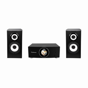 Cabasse ABYSS Wireless Amplifier   Minorca MC40 Bookshelf Loudspeakers