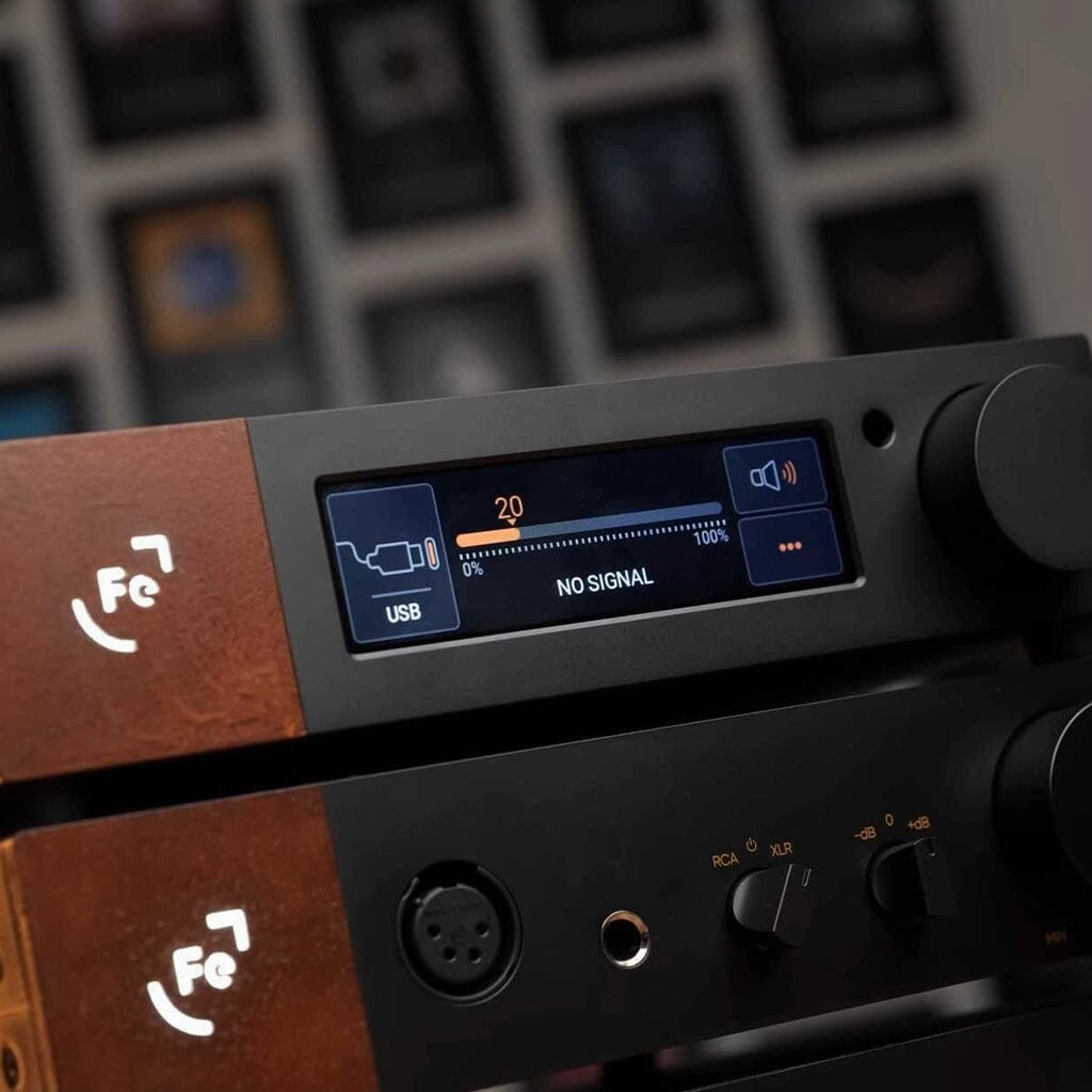 Ferrum WANDLA DAC - GoldenSound Edition