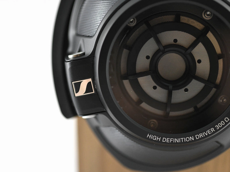 HD 820 Headphones