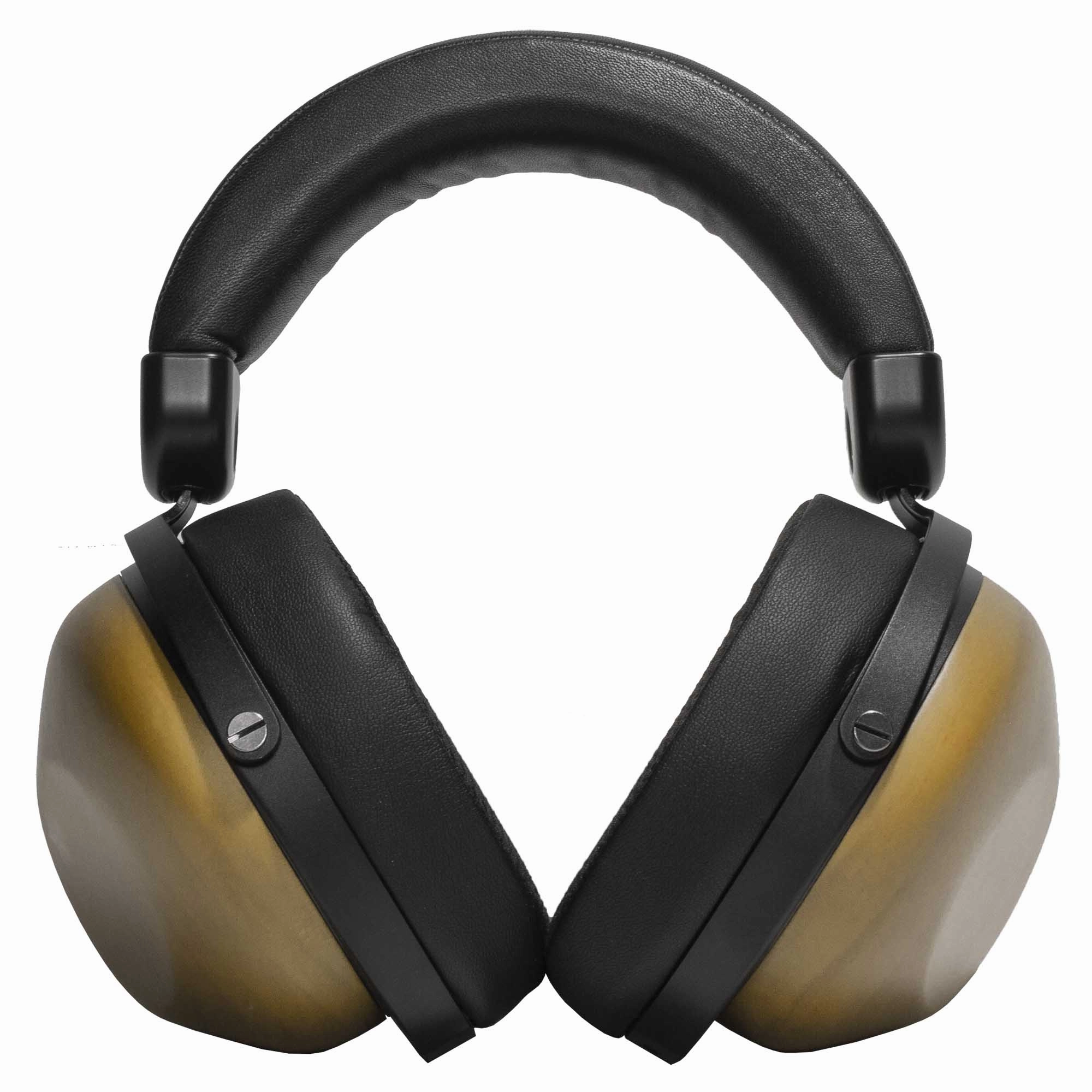 HIFIMAN HE-R10D Closed-Back Dynamic Headphones