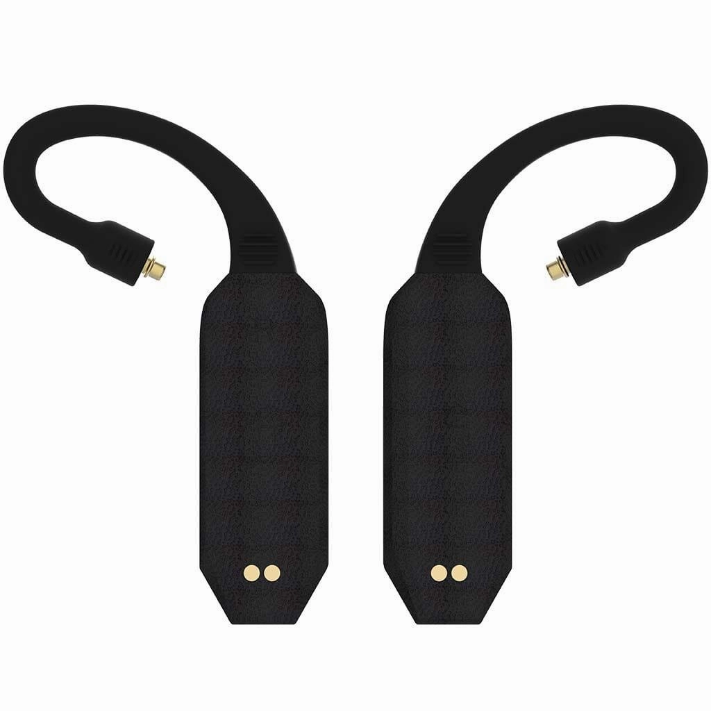 iFi Audio GO Pod