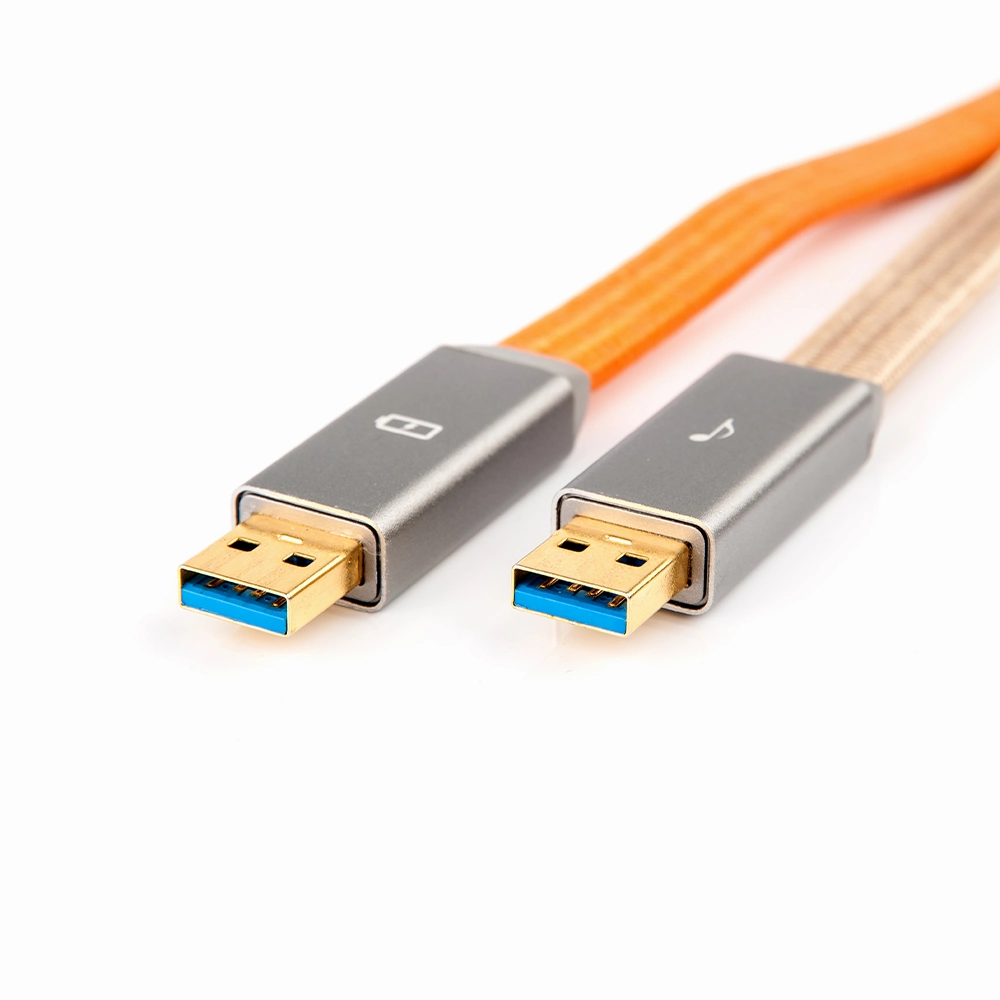 iFi Gemini 3.0 Dual Headed Audiophile USB Cable (0.7m, USB 2.0 B)