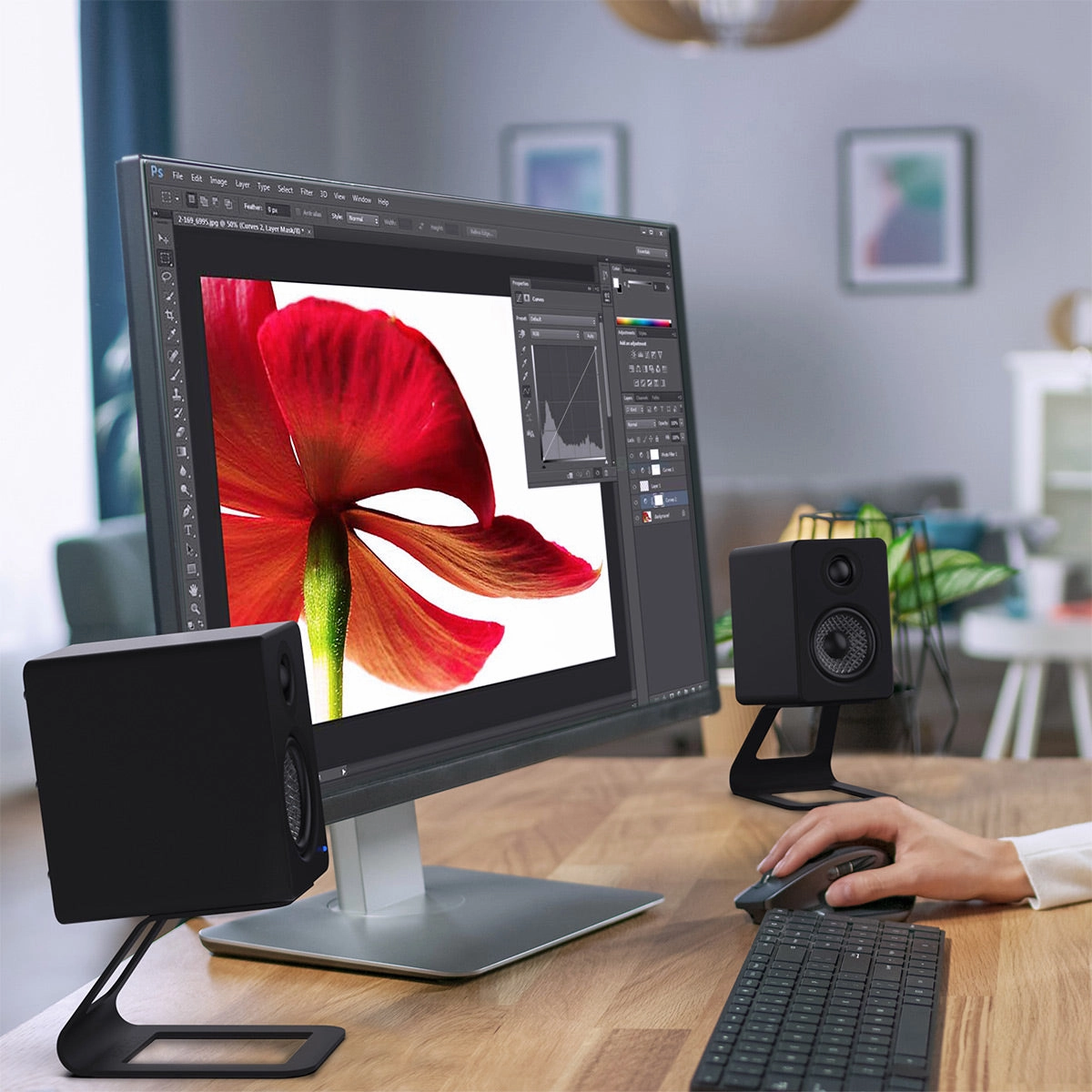 Kanto YU2 Powered Desktop Speakers and SE2 Speaker Stands for Small Speakers - Pair (Matte Black/Black)