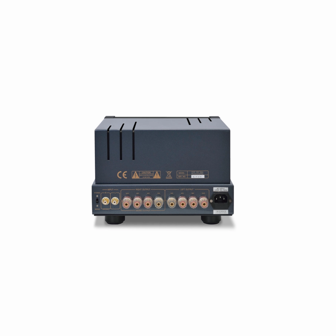 PrimaLuna Evo 100 Power Amplifier
