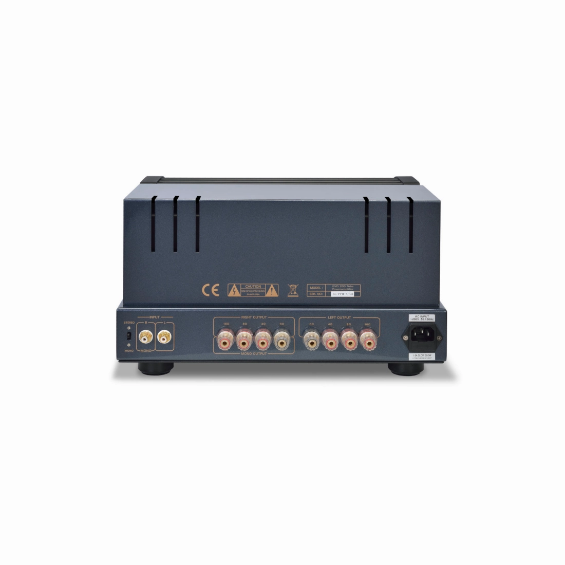 PrimaLuna Evo 200 Power Amplifier