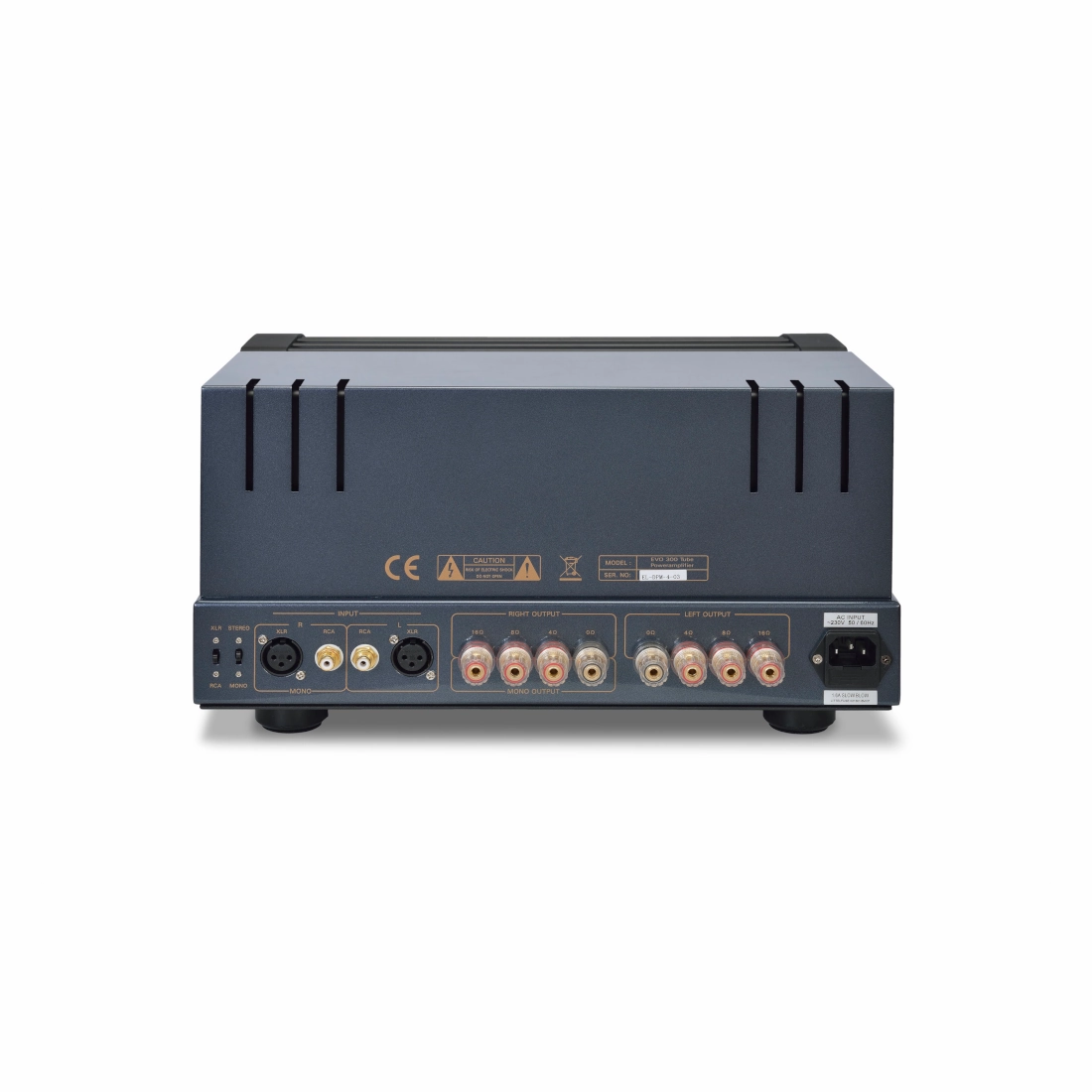 PrimaLuna Evo 300 Power Amplifier