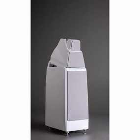 Wilson Audio Alexia V Floor Standing Speakers Pair