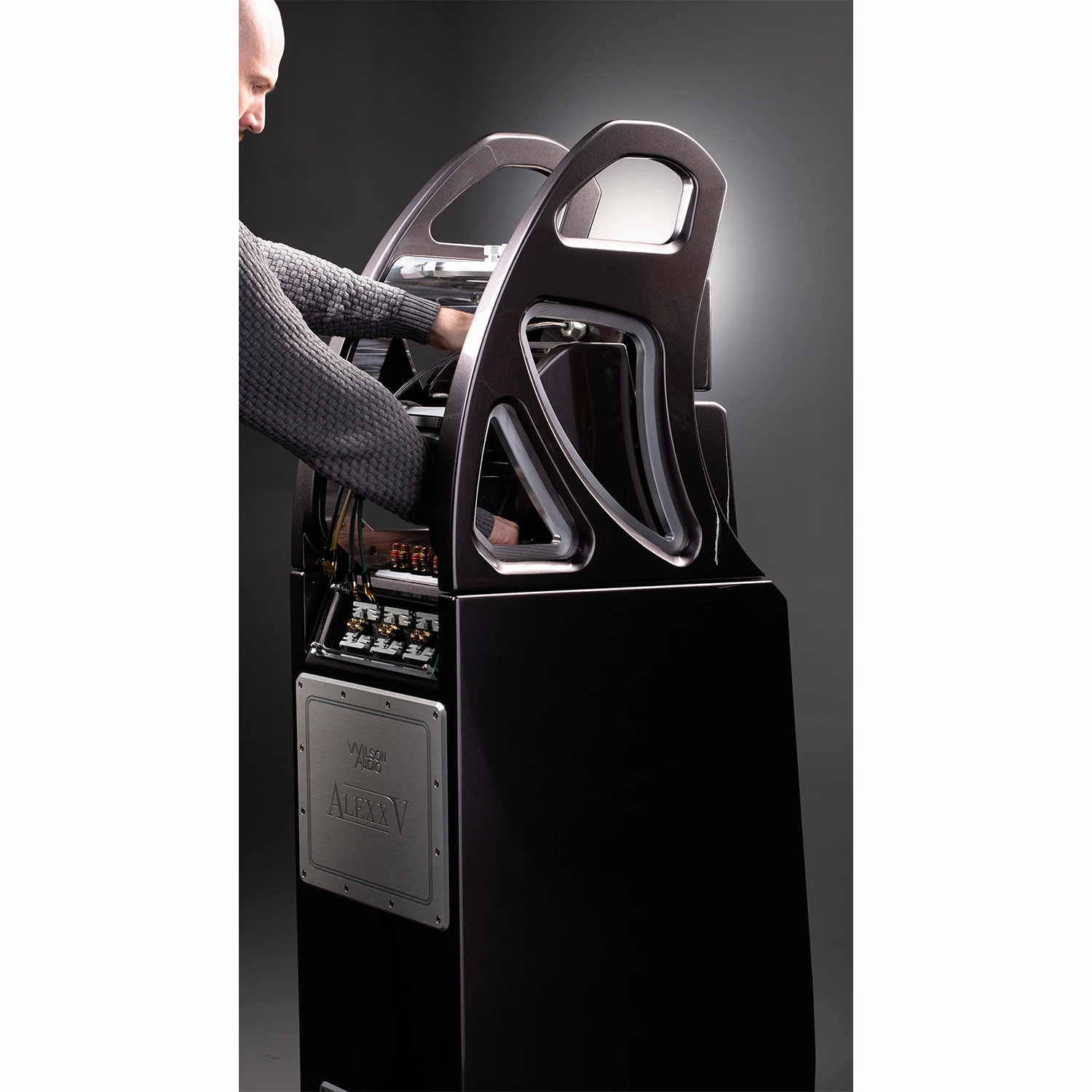 Wilson Audio Alexx V Floor Standing Speakers Pair