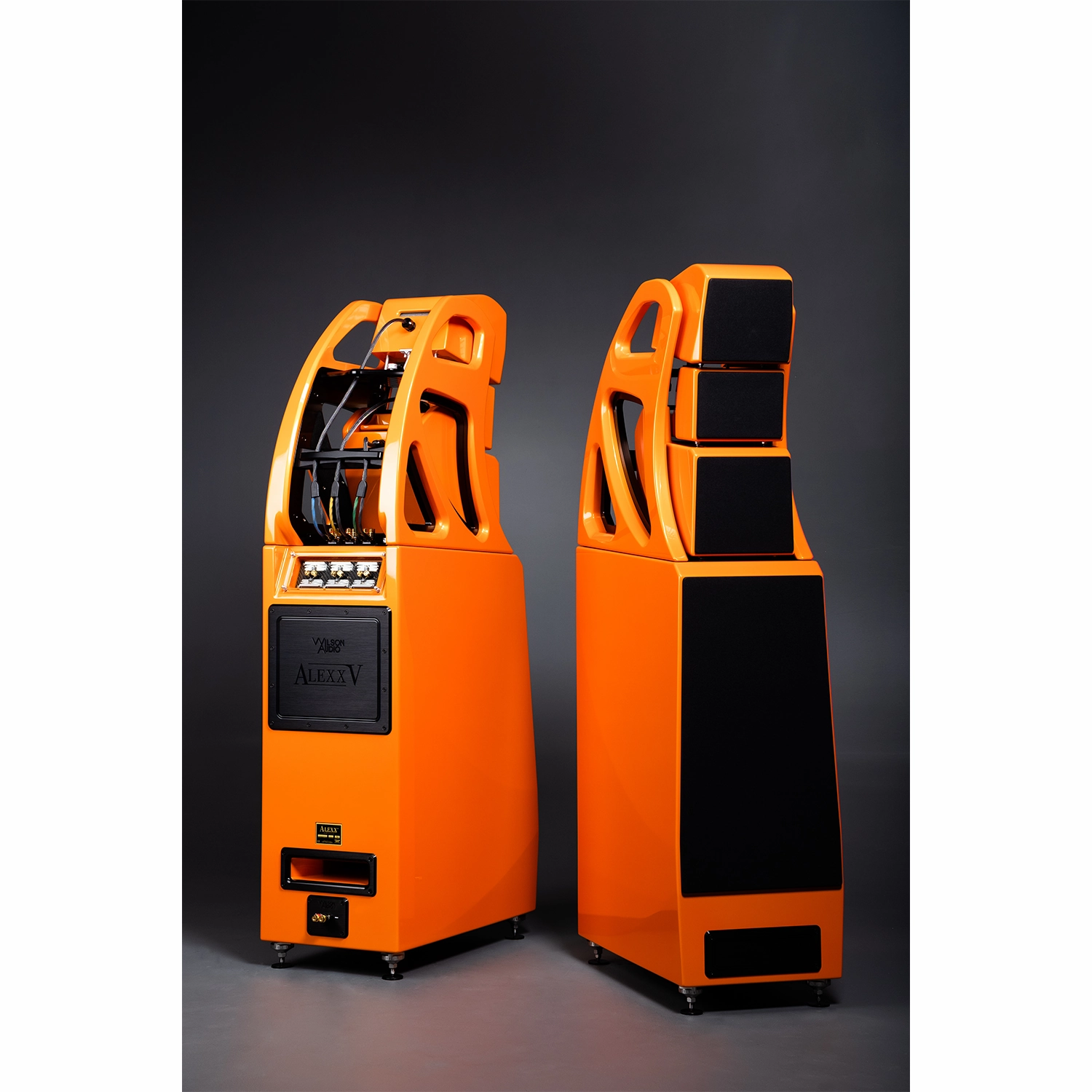 Wilson Audio Alexx V Floor Standing Speakers Pair